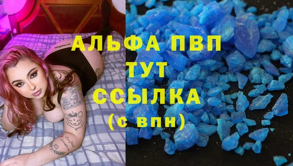 трава Медвежьегорск